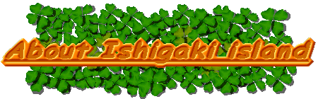 About Ishigaki island